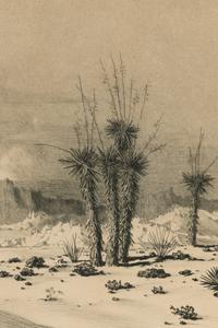 Seaside Landscape , plus etching, Evening Desert, Arizona