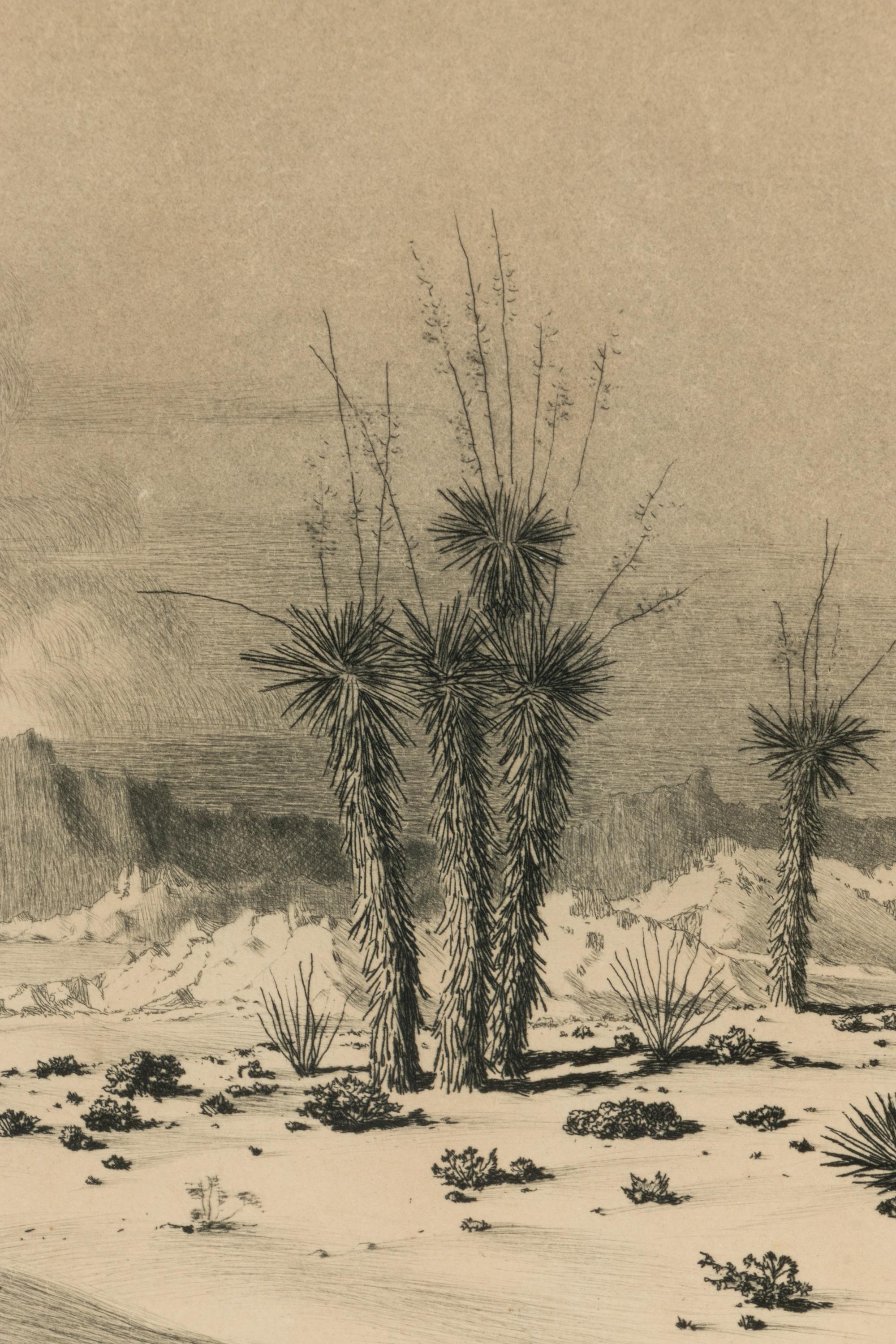 Seaside Landscape , plus etching, Evening Desert, Arizona