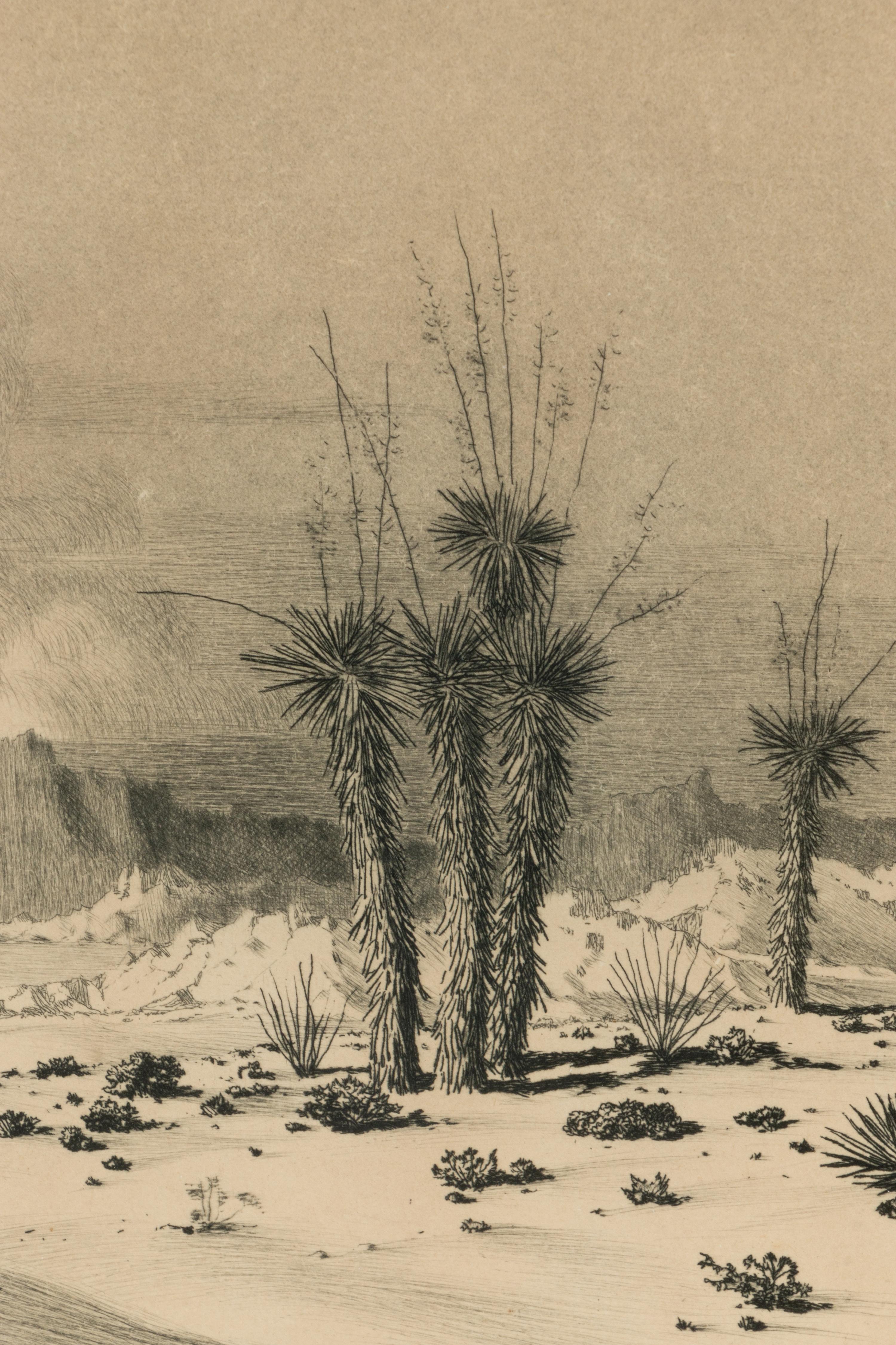 Seaside Landscape , plus etching, Evening Desert, Arizona