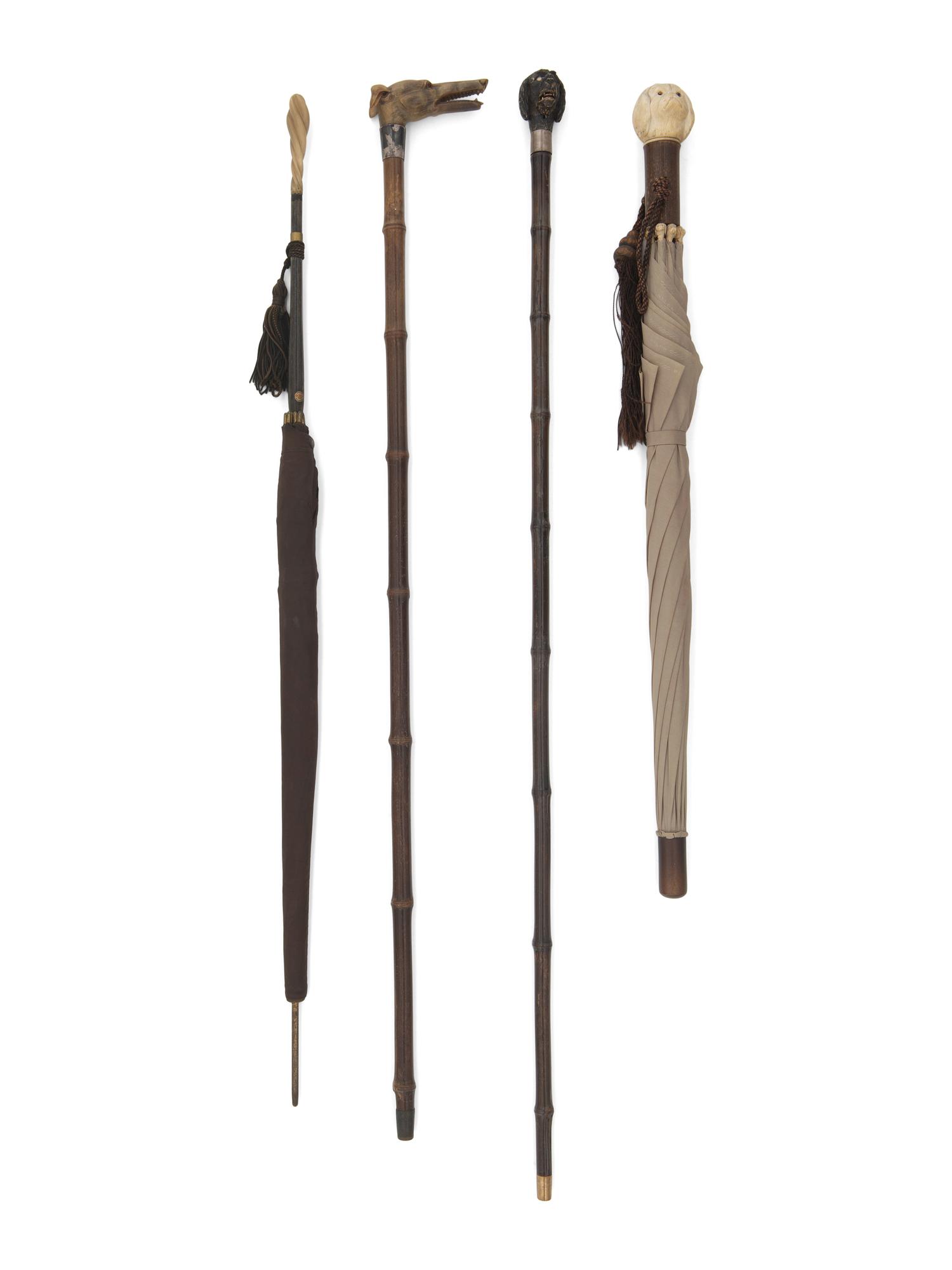 Four Walking Sticks and Umbrellas