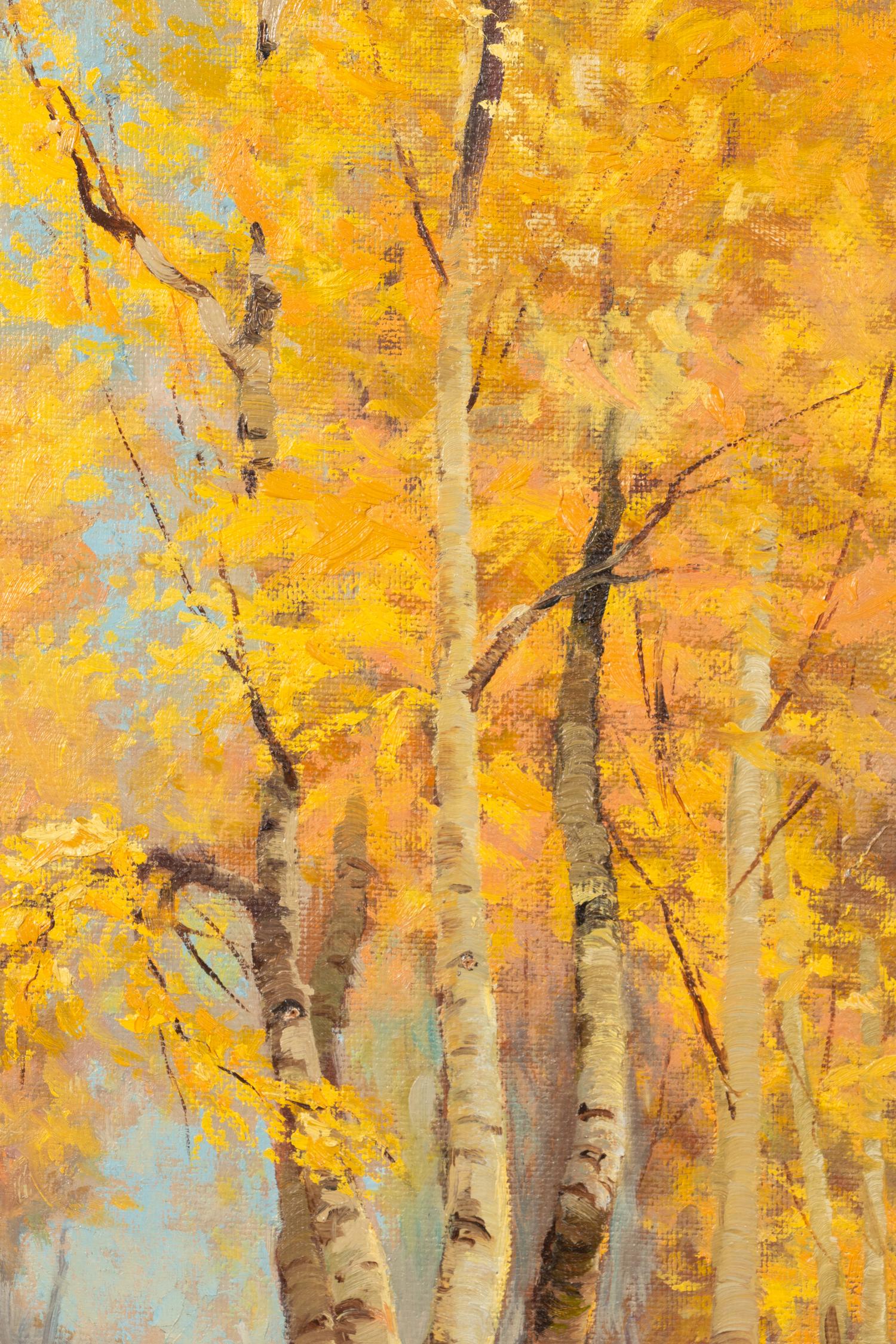 Aspens in the Fall