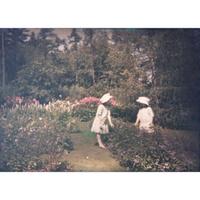 [Gardening] [Farrand, Beatrix] Group of 4 Autochromes
