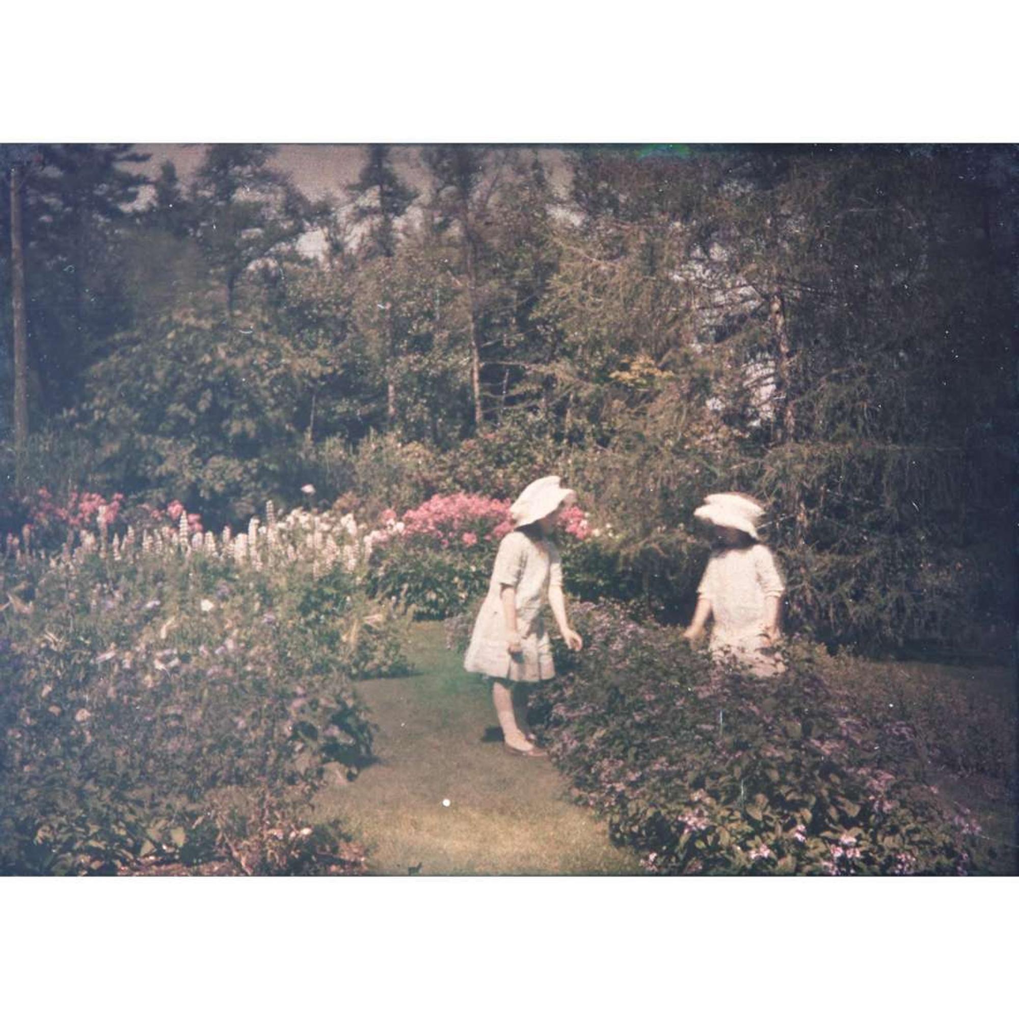 [Gardening] [Farrand, Beatrix] Group of 4 Autochromes