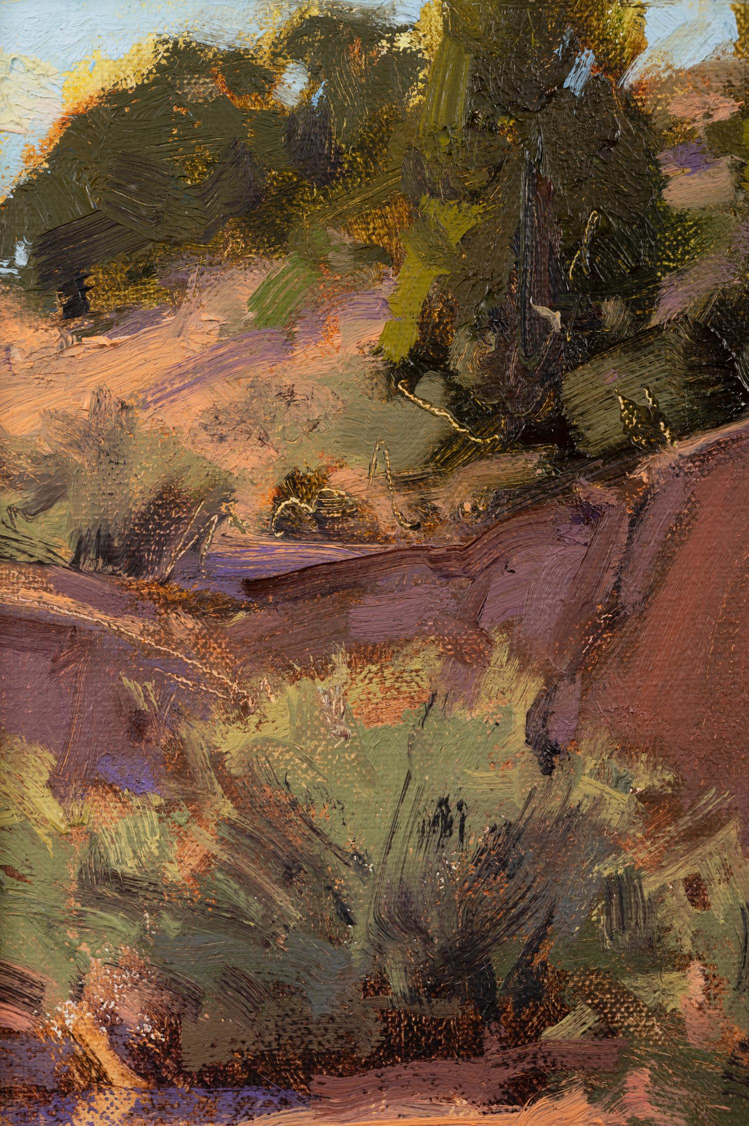 Arroyo Bank and Trees
