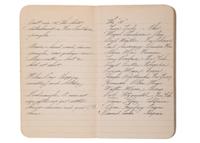 [WWII]. Diary and ephemera archive of Emerson J. Duricky, 3rd Brigade Army, Amphibious.