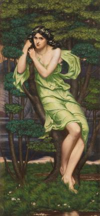 The Wood Nymph
