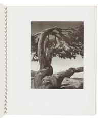 ADAMS, Ansel (1902-1984). My Camera in Yosemite Valley . Boston: Virginia Adams, Yosemite National Park and Houghton Mifflin Company, 1949.