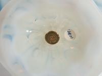 Opalescent Reactive Compote with Morning Glories