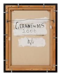 Geraniums