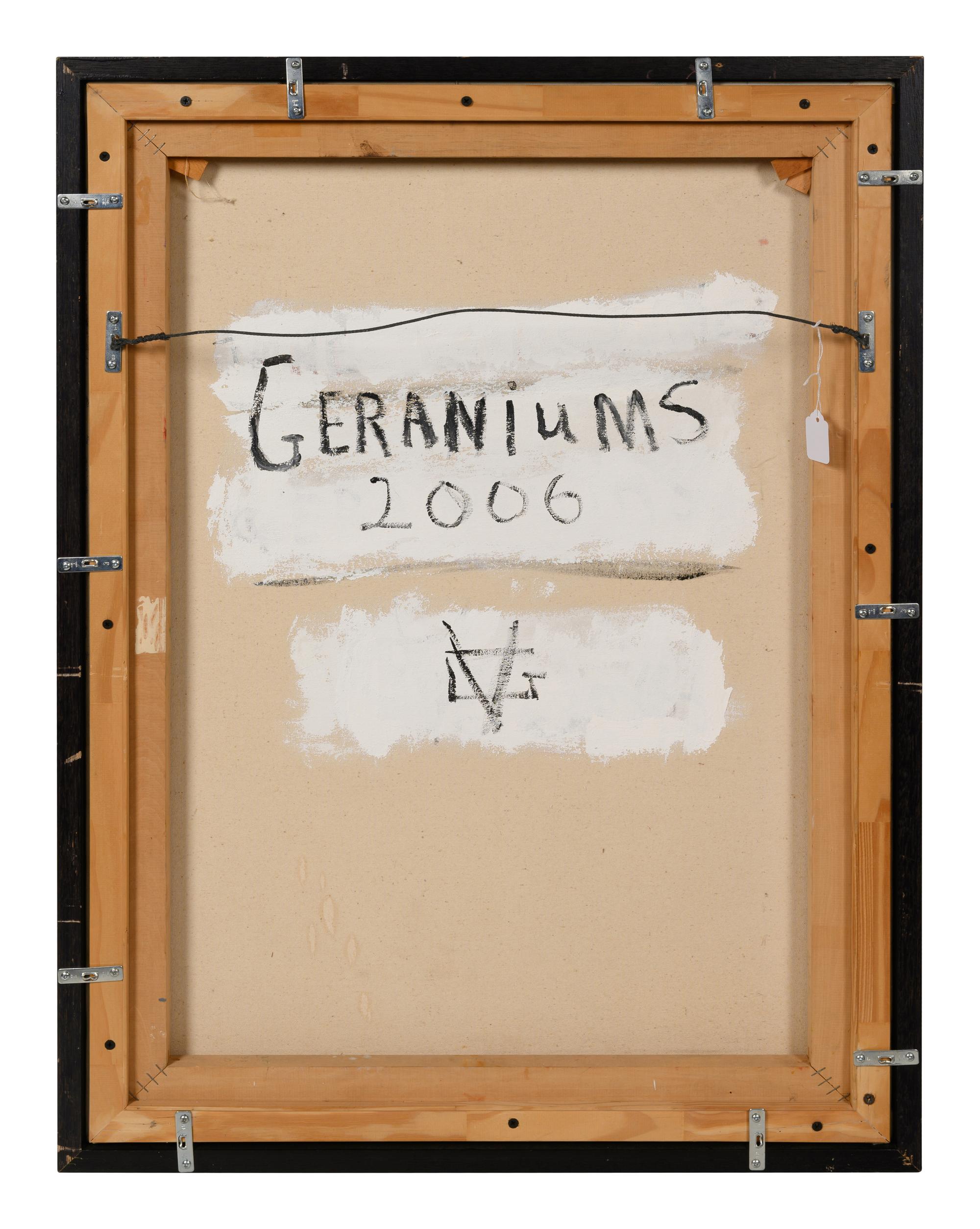Geraniums