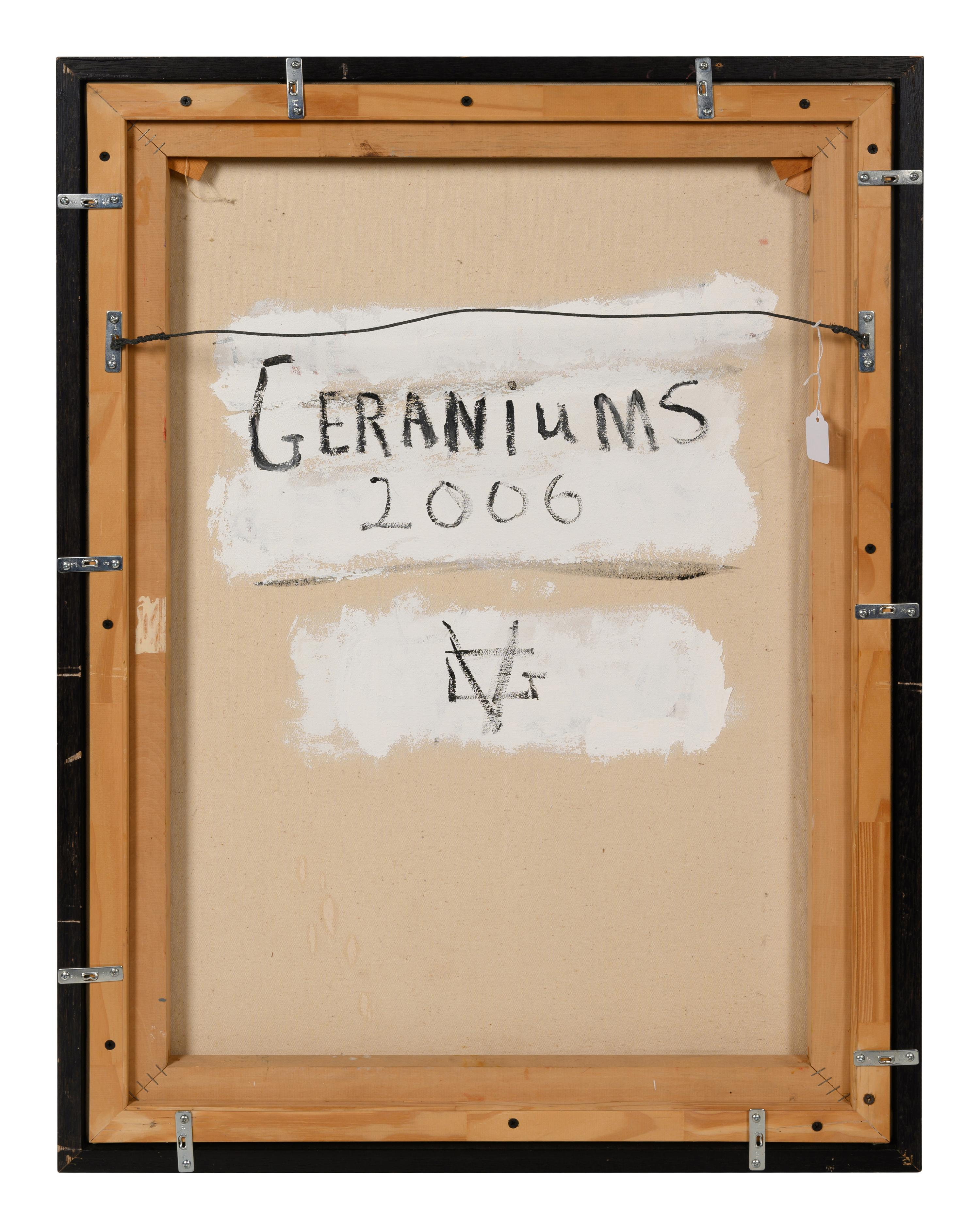 Geraniums