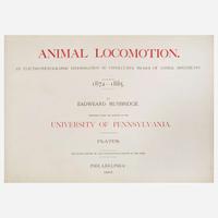 [Photography] Muybridge, Eadweard Collection of 111 Plates from "Animal Locomotion. An Electro-Photographic Investigation of Consecutive Phases of Animal Movements. 1872-1885"