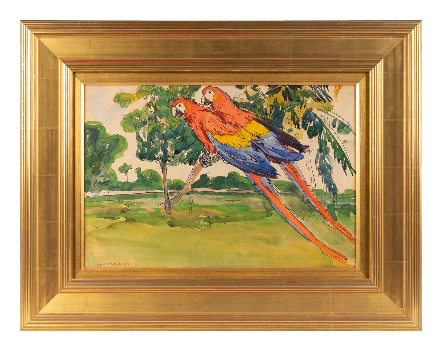 Two Macaws