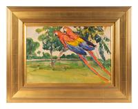 Two Macaws