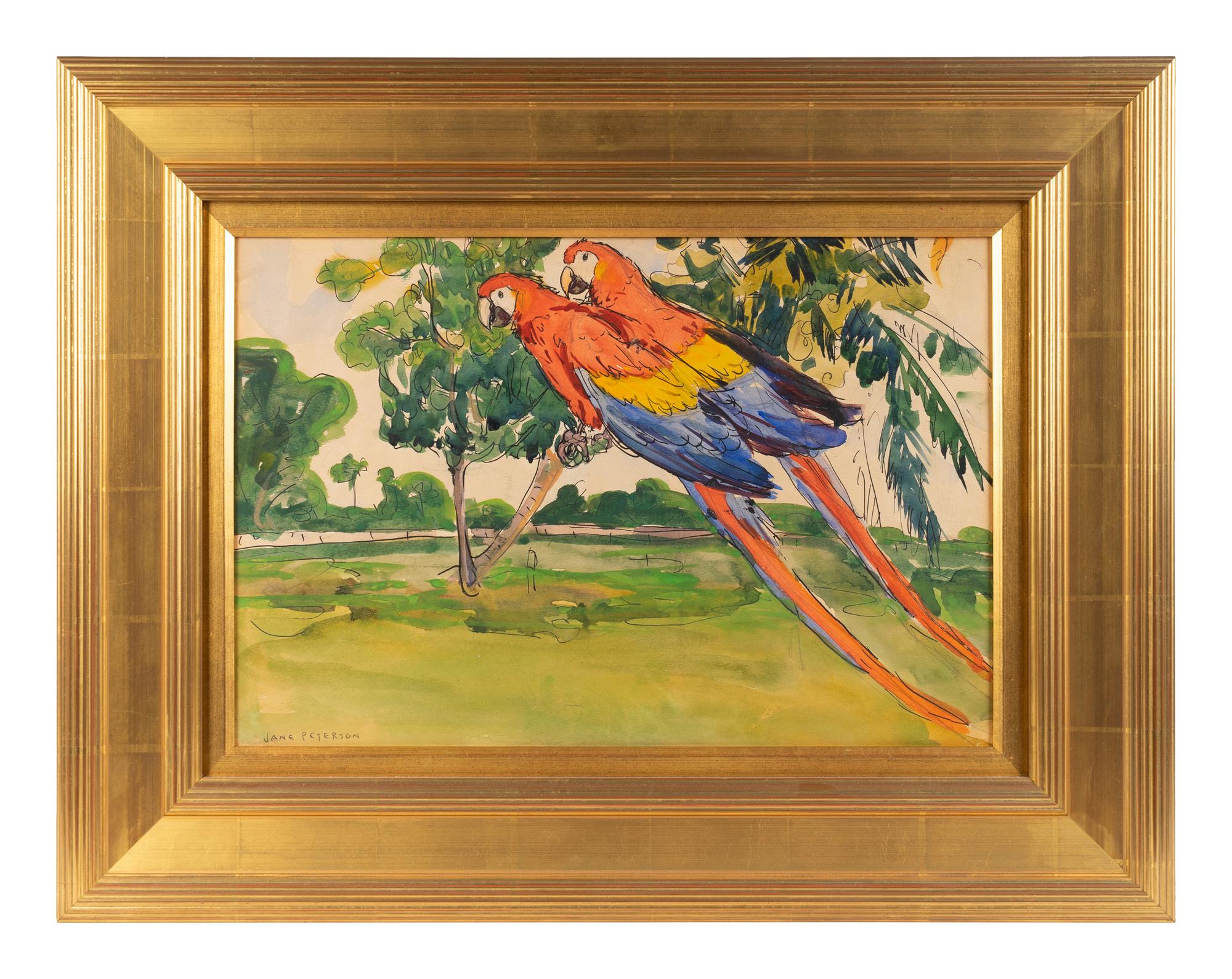 Two Macaws