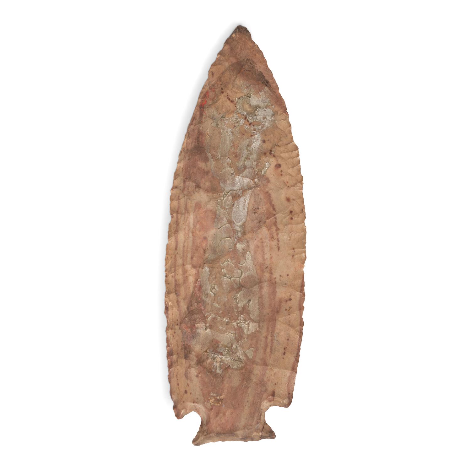A Woodland Point