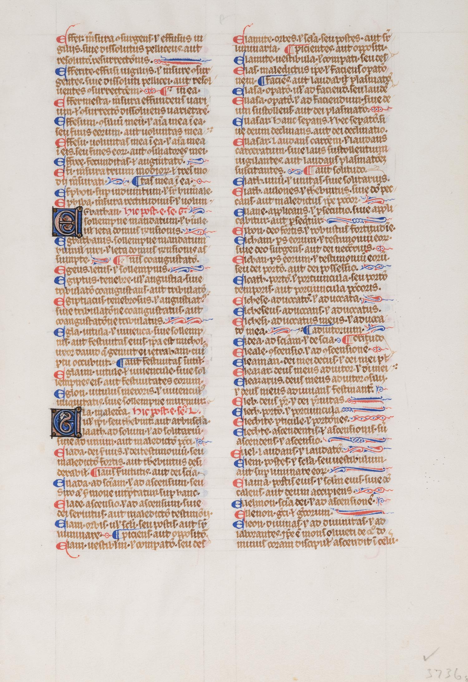 [BOOK OF HOURS]. A group of 25 leaves from medieval and renaissance manuscripts and printed books, including 5 or more from Otto Ege’s Fifty Original Leaves from Medieval Manuscripts. Western Europe: XII-XVI Century [compiled Cleveland, c.1950] and Original Leaves from Famous Bibles: Nine Centuries, 1121-1935 A.D [Compiled Cleveland, c.1950]. Various sizes, including: