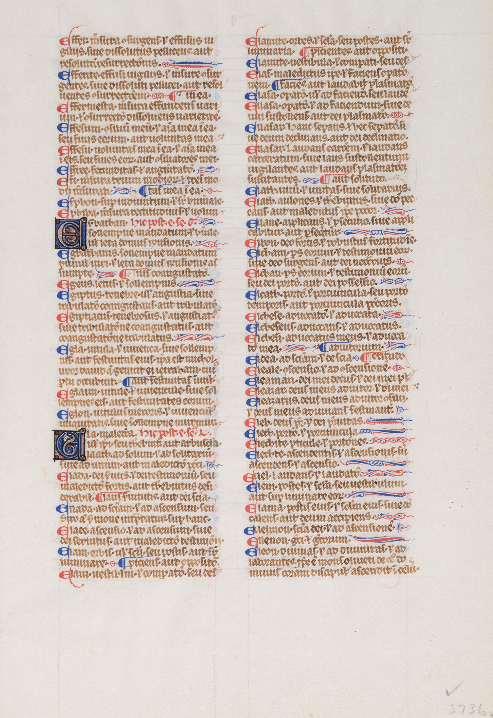 [BOOK OF HOURS]. A group of 25 leaves from medieval and renaissance manuscripts and printed books, including 5 or more from Otto Ege’s Fifty Original Leaves from Medieval Manuscripts. Western Europe: XII-XVI Century [compiled Cleveland, c.1950] and Original Leaves from Famous Bibles: Nine Centuries, 1121-1935 A.D [Compiled Cleveland, c.1950]. Various sizes, including: