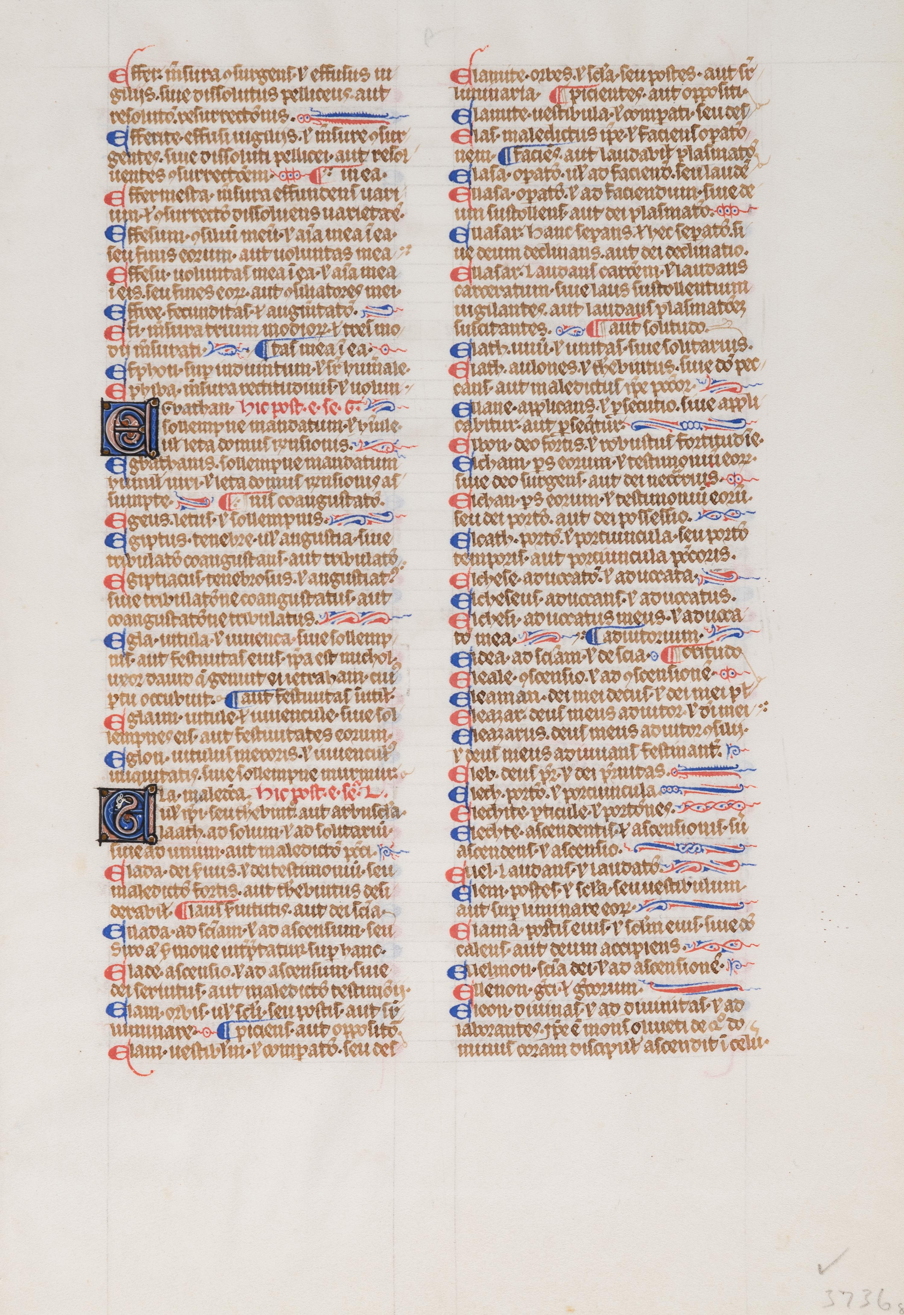 [BOOK OF HOURS]. A group of 25 leaves from medieval and renaissance manuscripts and printed books, including 5 or more from Otto Ege’s Fifty Original Leaves from Medieval Manuscripts. Western Europe: XII-XVI Century [compiled Cleveland, c.1950] and Original Leaves from Famous Bibles: Nine Centuries, 1121-1935 A.D [Compiled Cleveland, c.1950]. Various sizes, including: