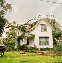 Chris Verene (born 1969) "Family", Front Cover for "New Monograph", 2008
