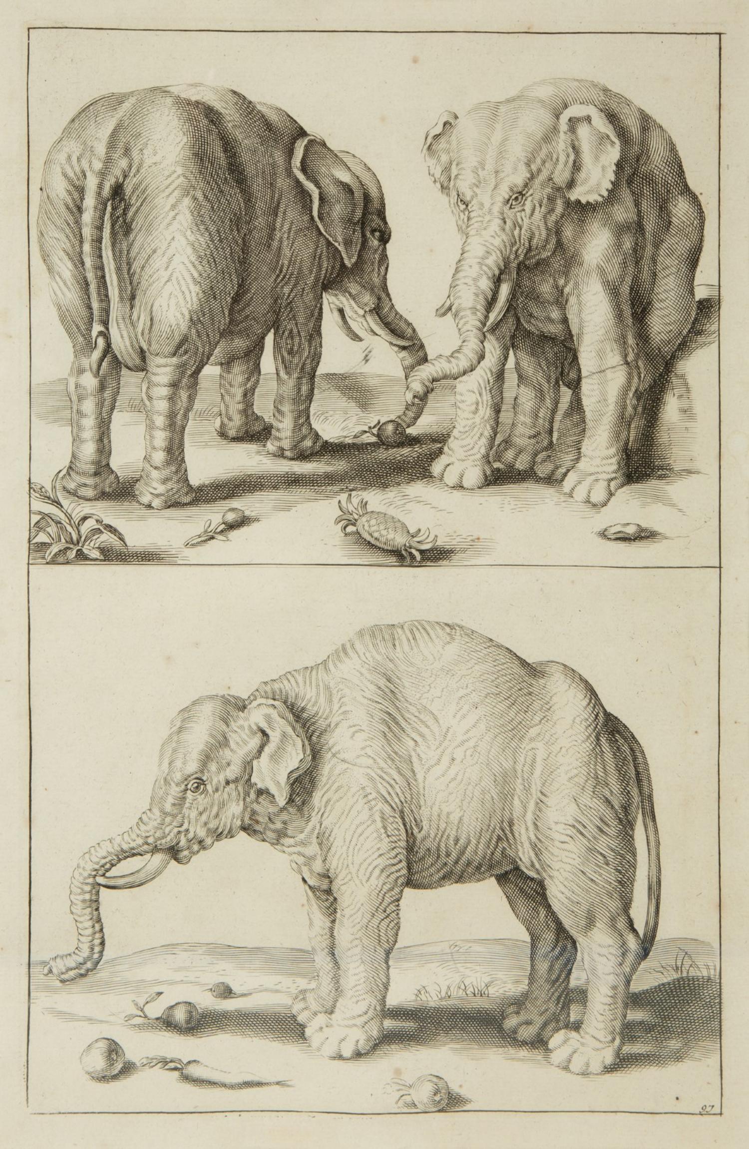 A Group of Ten Framed Continental Engravings — 18TH/19TH CENTURY