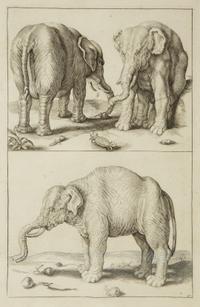 A Group of Ten Framed Continental Engravings — 18TH/19TH CENTURY