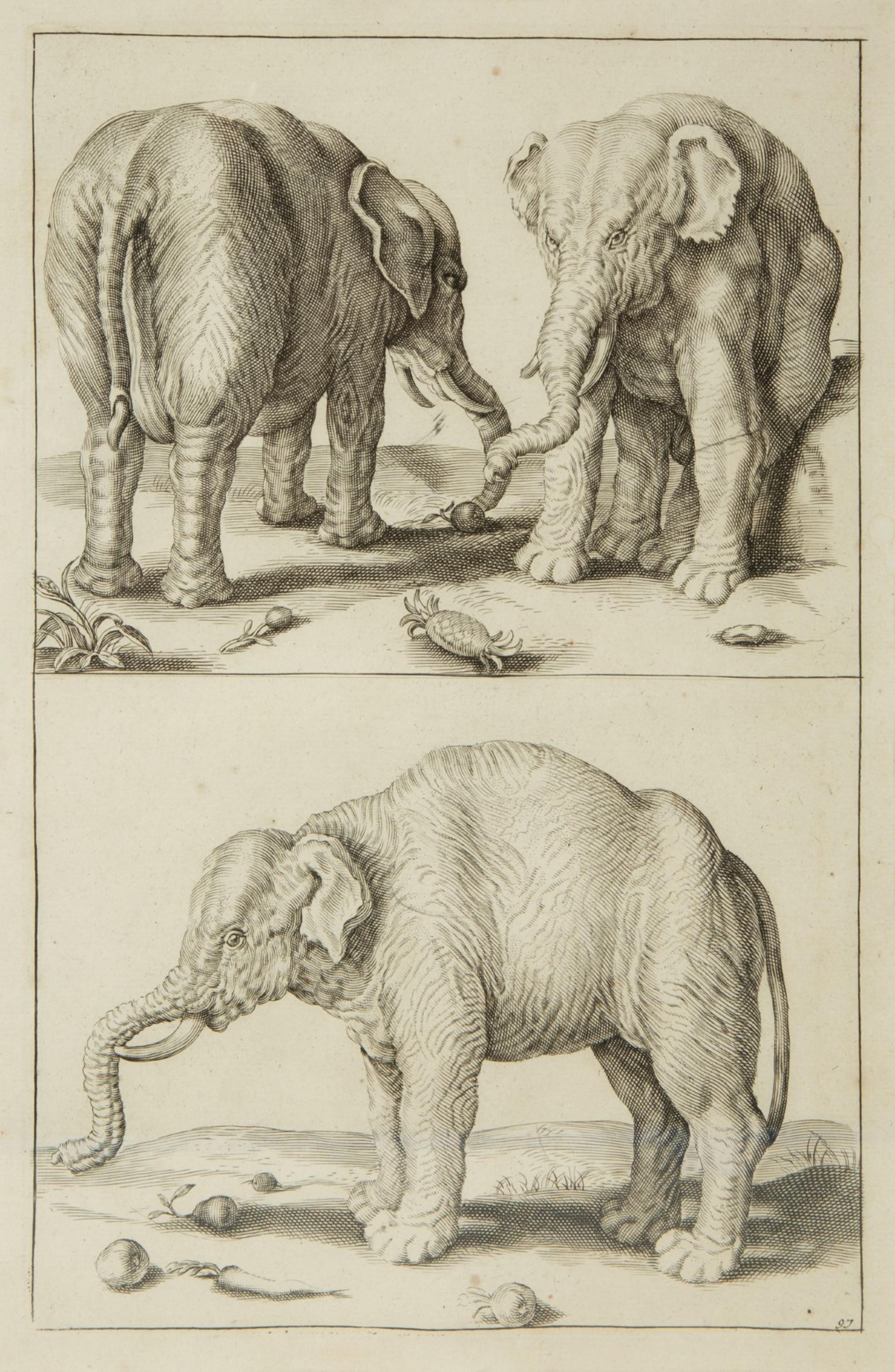 A Group of Ten Framed Continental Engravings — 18TH/19TH CENTURY