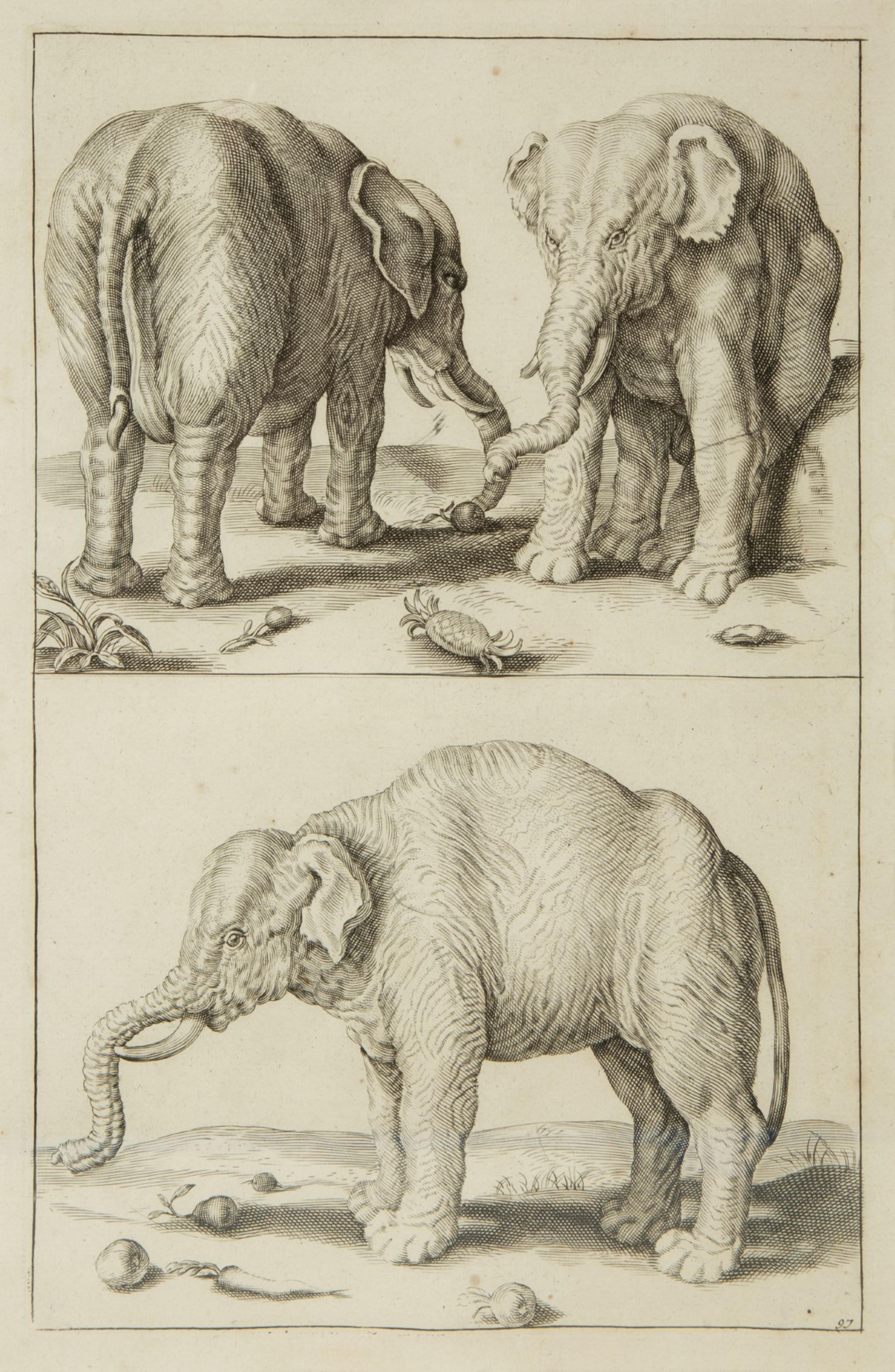 A Group of Ten Framed Continental Engravings — 18TH/19TH CENTURY