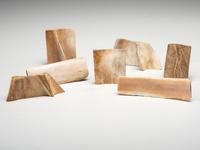 Seven Pieces of Modern Scrimshaw
