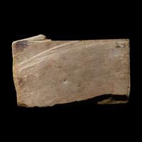 A Maya Limestone Panel with Glyphs