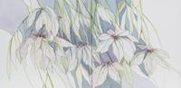 M. Crawford, (20th Century), Pair of Floral Still Lifes