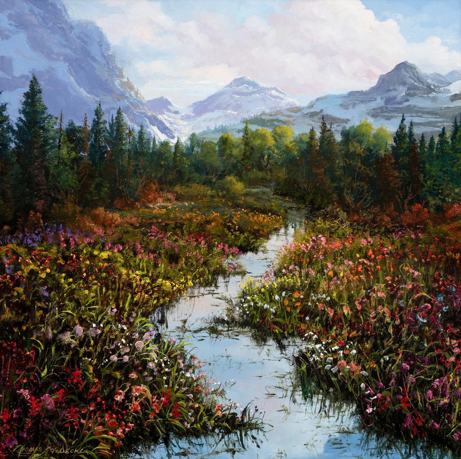 Rocky Mountain Meadows