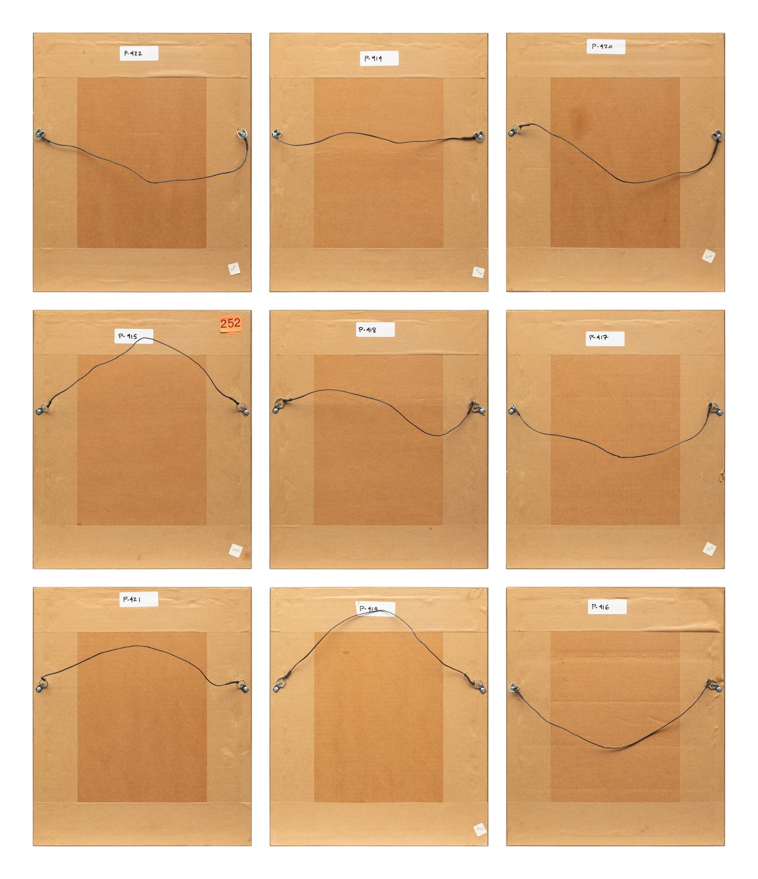 Group of Nine Works, American Bird Series, 1988