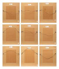 Group of Nine Works, American Bird Series, 1988