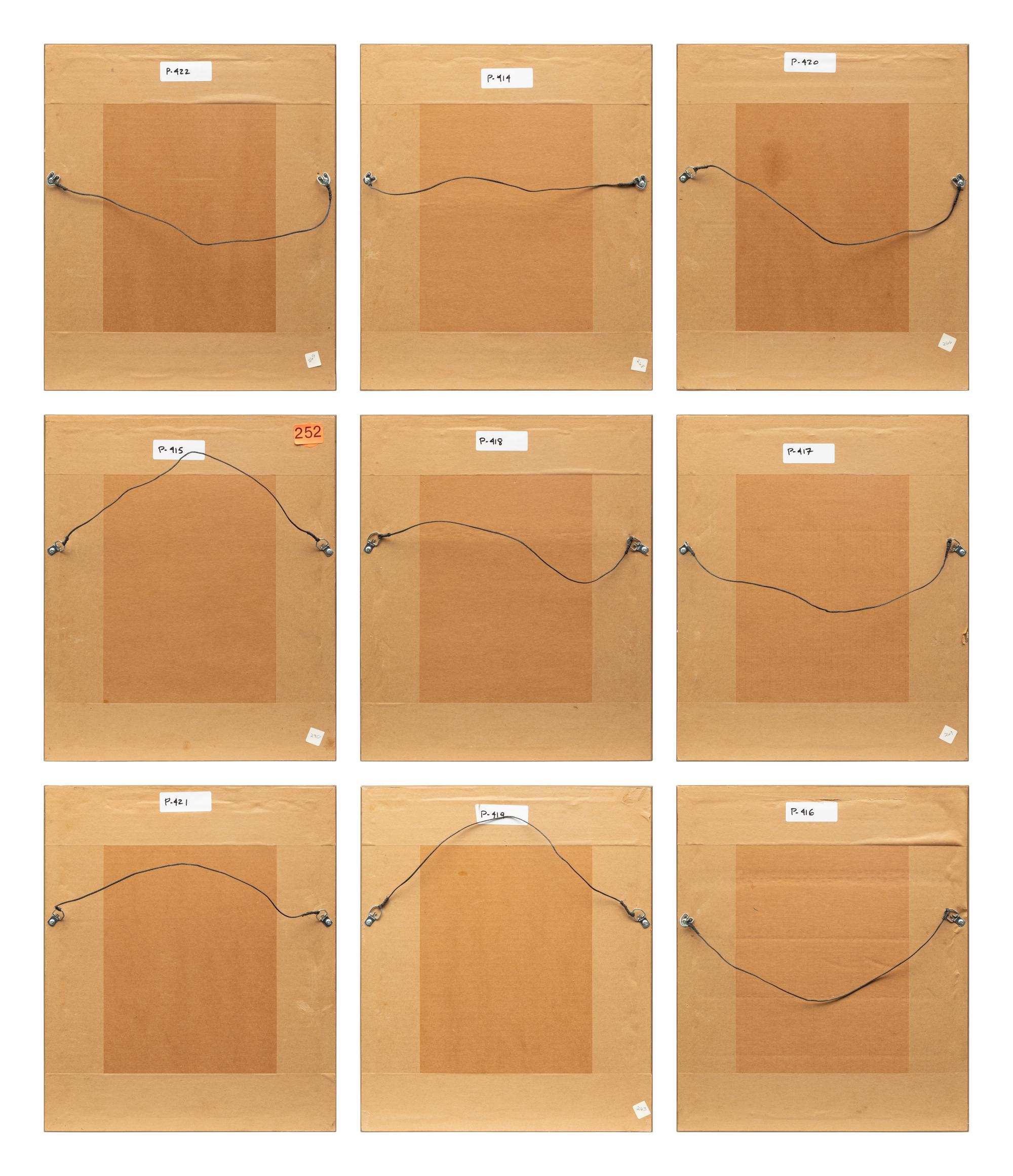 Group of Nine Works, American Bird Series, 1988