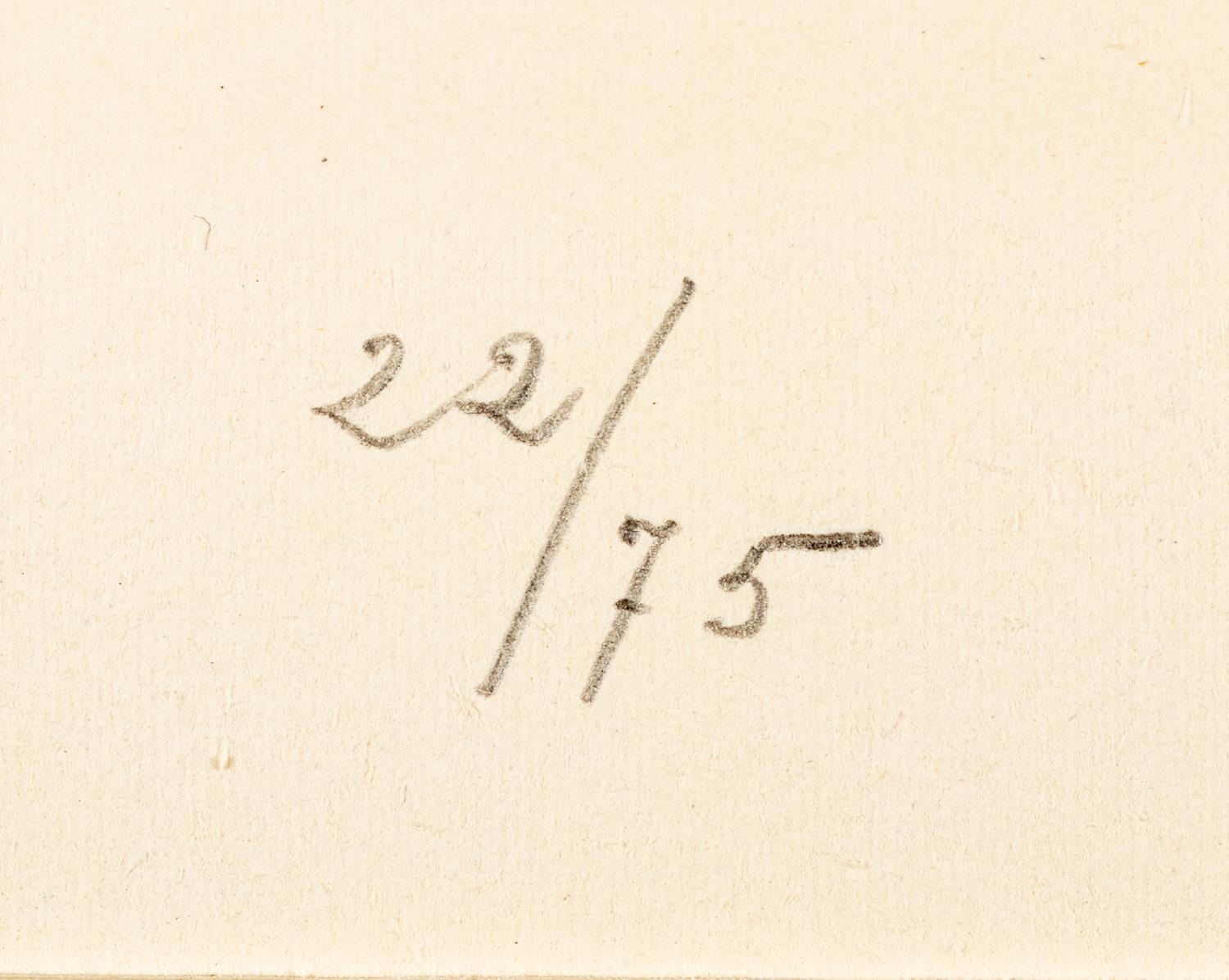 Plate I and Plate X from Album 13