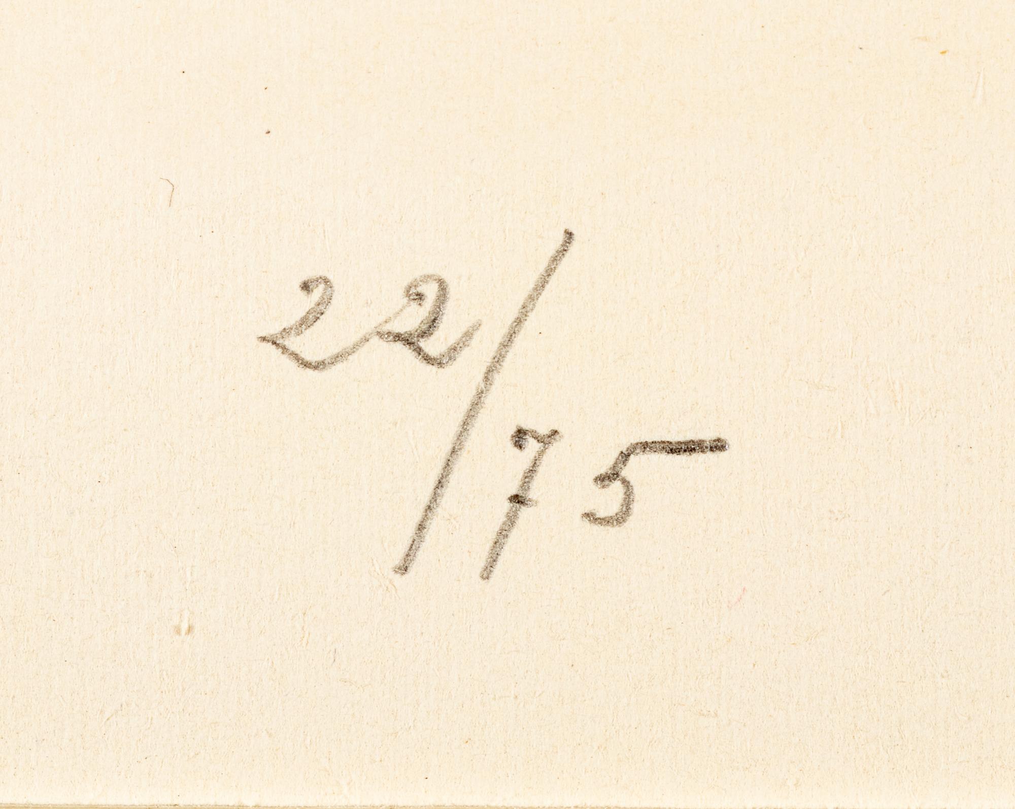 Plate I and Plate X from Album 13