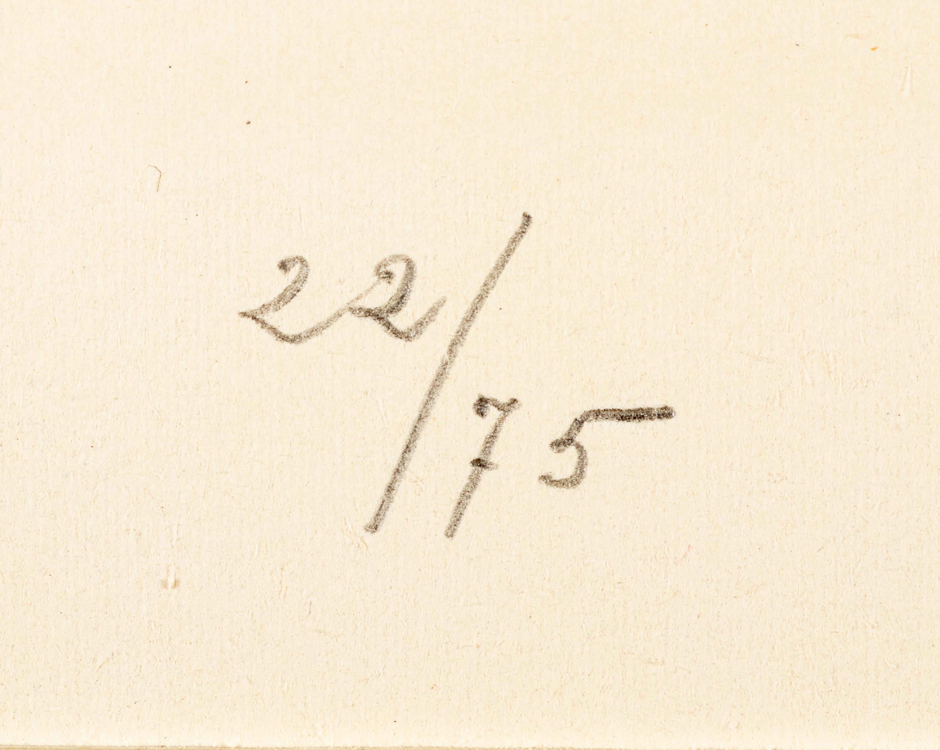 Plate I and Plate X from Album 13