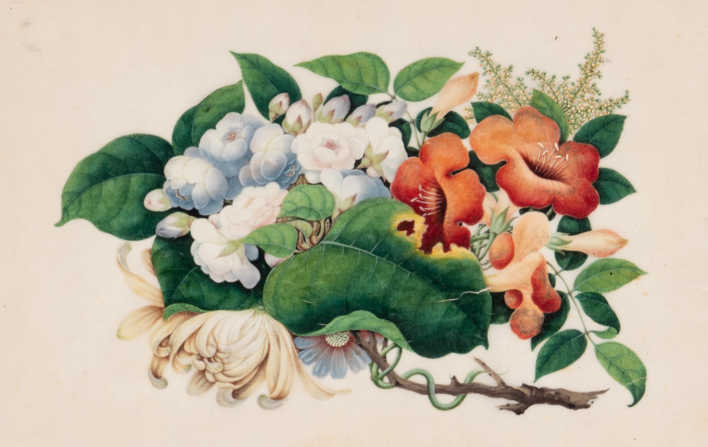 A Set of Twelve Chinese Export Watercolor and Pith Botanical Paintings