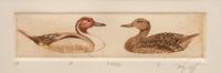 Six Framed Prints, in Four Frames: Green-Winged Teal, Artist's Proof; Goldeneye & Bluebill Decoys, edition 34/100; Black Duck, edition 28/100; together in one frame: Redhead , edition 17/100; Bluebill , edition 10/100; Pintail , Artist's Proof