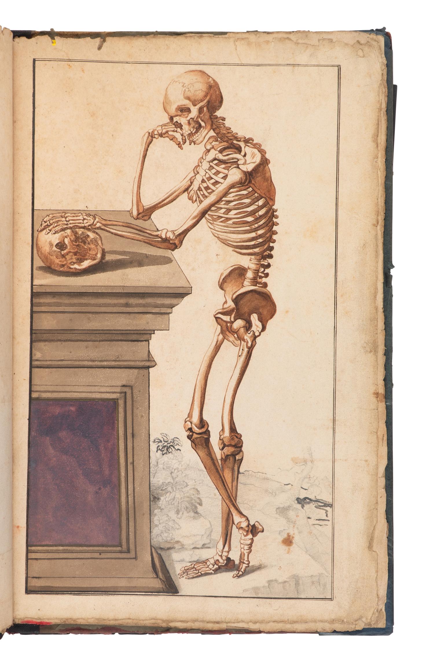 [SCIENCE & MEDICINE -MANUSCRIPT]. [After TORTEBAT, Francois (c 1616-1690), illustrator. -- PILES, Roger de (1635-1709)]. "Abrege d'Anatomie Accommode aux Arts de Peinture et de Sculpture. " [France, ca 17th- early 18th century].
