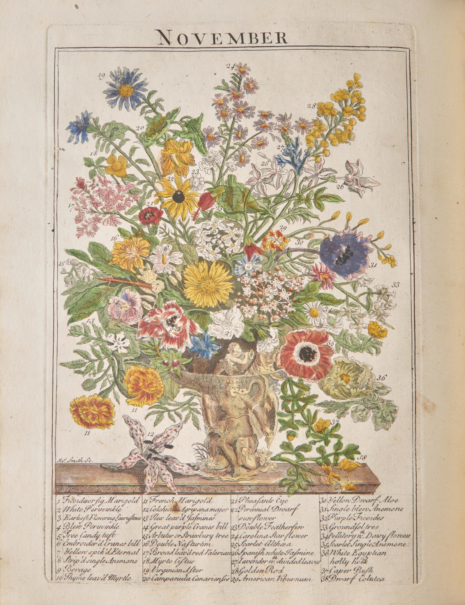 [Natural History] Furber, (Robert), and Richard Bradley. The Flower-Garden Display'd, In above Four Hundred Curious Representations Of the most Beautiful Flowers; Regularly dispos'd in the respective Months of their Blossom...