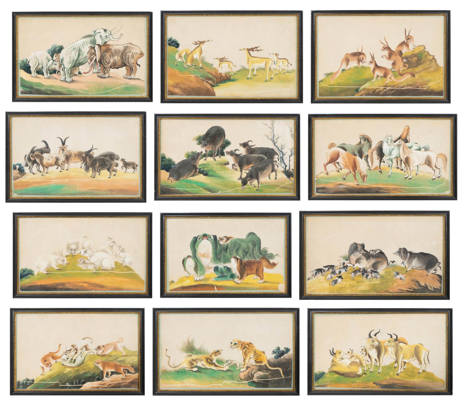 A Collection of Twelve Chinese Zoological Ink and Color Pith Paintings