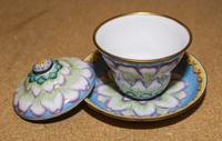A Chinese Enameled Covered Cup and Saucer Diameter of saucer 4 3/4 inches.