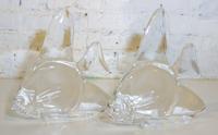 Two Steuben Glass Fish. Width of wider 10 inches.