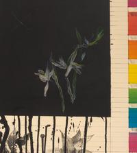 Wish #2-Breadfruit , 1974