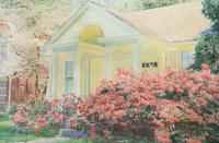 Red Azaleas