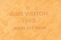 Louis Vuitton Pégase 65 Rolling Suitcase