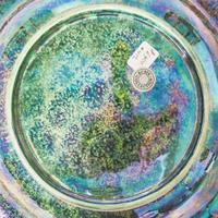 A Wedgwood Fairyland Lustre Lily Tray UK, circa 1925