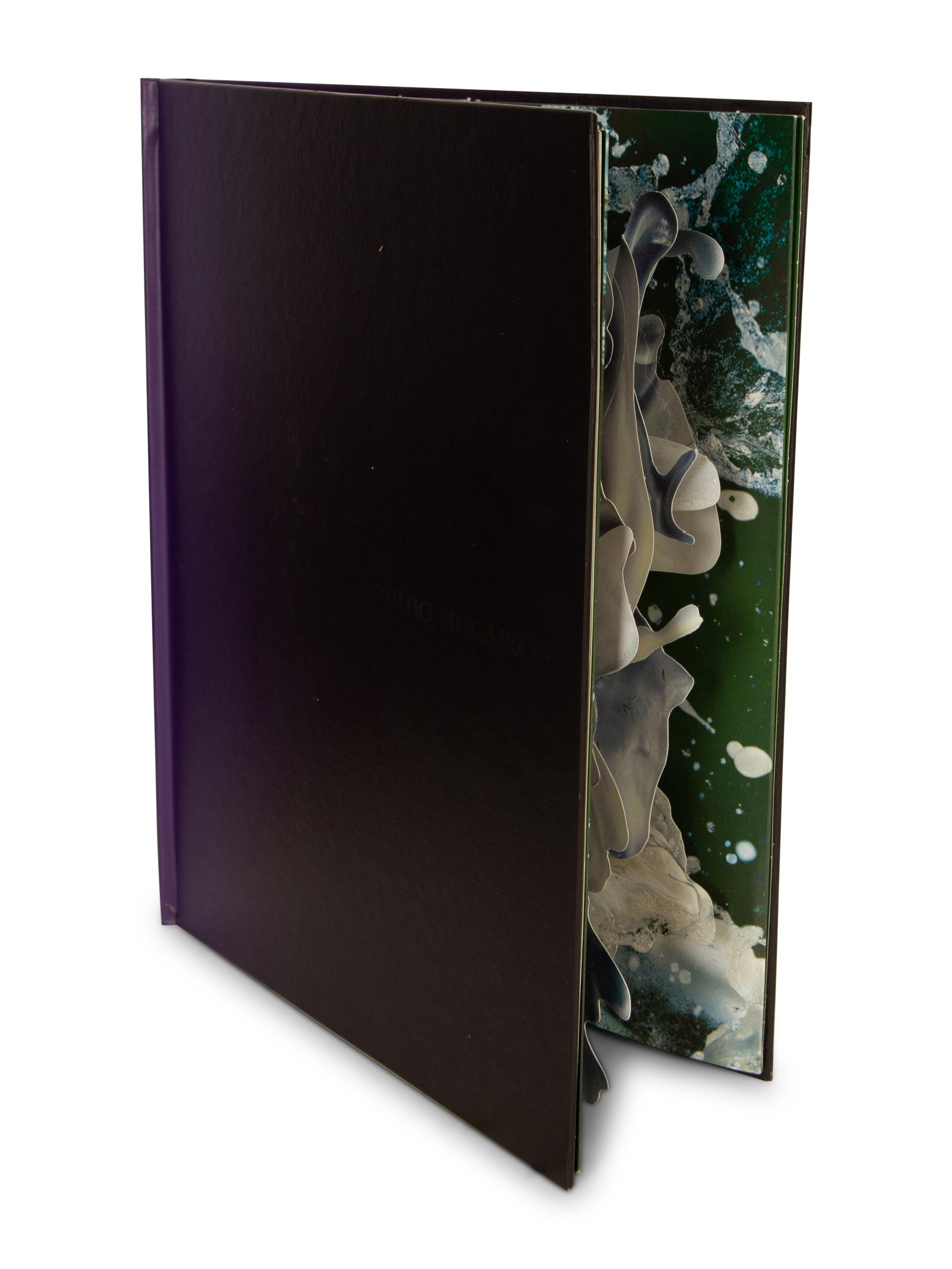 Vissionaire 55, Surprise, Twelve Hardcover Pop-up Books, by Krug — 21st CENTURY